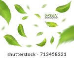 blurred fresh flying green... | Shutterstock .eps vector #713458321
