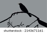 Lovely Blackbird Silhouette...