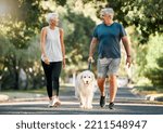 Retirement, fitness and walking with dog and couple in neighborhood park for relax, health and sports workout. Love, wellness and pet with old man and senior woman in outdoor morning walk together