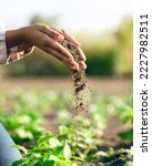 Small photo of Farmer, hands and agriculture with soil, dirt or dust for plants, growth or farming closeup. Black woman, land and farm with field, earth or nutrition of ground for sustainability, fertility and zoom