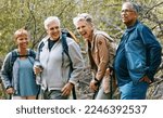 Small photo of Nature, hiking and happy senior friends bonding, talking and laughing at comic joke in forest. Happiness, fun and group of elderly people trekking together for health, wellness and exercise in woods.