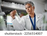 Small photo of Botany, test tube and senior female scientist doing research, experiment or test on plants in lab. Ecology, glass vial and elderly woman botanist studying leaves in eco friendly science a laboratory.
