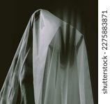 Small photo of Touching the supernatural. A ghostly apparition of a woman isolated on a black background.