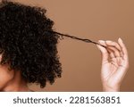 Small photo of Haircare, beauty and black woman hand with curly hair on brown background in studio. Salon, wellness and girl holding curl marketing curls treatment products for growth, natural and healthy hairstyle.