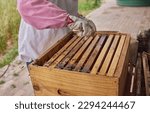 Small photo of If you need a reason to take the plunge, taste some natural honey. Shot of a beekeeper opening a hive frame on a farm.
