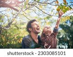 Father with girl child picking from apple tree in garden, happy outdoor with love and family together in orchard. Man spending quality time with young daughter on farm, fruit and happiness in nature