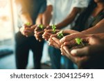 Small photo of Plant, sustainability and environment with hands of business people for teamwork, earth and support. Collaboration, growth and diversity with employees and soil for future, partnership or community