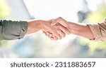 Small photo of Handshake, partnership and trust in care for support, retirement or agreement in deal, greeting or commitment. Hand of people shaking hands for love or teamwork together against a blurred background