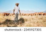 Small photo of Farm, black man and happy, cow and agriculture for livestock, sustainability and agro business in countryside. Farmer with mission, field and industry, environment with cattle herd and animal outdoor