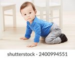 Small photo of Cute, crawling and portrait of baby on floor for child development, learning and youth. Young, curious and adorable with infant kid on ground of family home for growth, progress and milestone