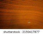 Curved Wooden Lines In Ceiling
