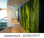 Green moss wall panel in office for greenoffice 