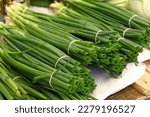 Heap of fresh green spring bunch onion, scallion or chive on farmers market display, close up, high angle view