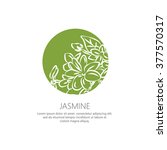 jasmine flowers isolated... | Shutterstock .eps vector #377570317