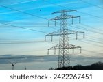 High voltage power lines along a road in Austria.