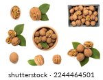 Nuts Collage On White Background
