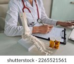 Small photo of Doctor traumatologist writes out prescription for pills and leg skeleton. Pain in legs with osteoarthritis of bones and treatment with calcium and protein