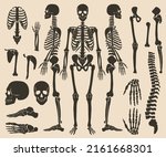 high quality detailed set of... | Shutterstock .eps vector #2161668301