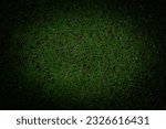 Small photo of Green grass leaf textured for background usage. in dark tone, with dark border vignette.