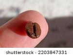 A coffee bean on a finger
