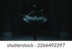 Small photo of Cinematic shot of beautiful ballerina in ballet dress dancing in front of window in dark theater lobby at night. Female ballet dancer rehearses and makes graceful movements. Ballet art. Black swan.