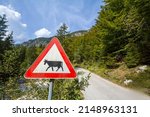 Small photo of European sign, a cattle crossing roadsign, abiding by European traffic regulations, warning of the presence of cows and other animals frequently in a rural situation.