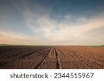 Selective blur on furrows on a...