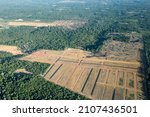 Deforestation In The Brazilian...