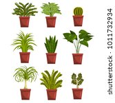 pots of green deciduous plants... | Shutterstock .eps vector #1011732934