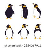Funny Penguin as Aquatic Flightless Bird with Flippers Waddling and Standing Vector Set