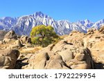 Alabama Hills with Sierra Nevada in the background in Lone Pine, California
