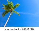 Green Palm Tree On Blue Sky...