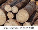 cut wood logs on a pile