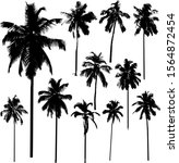 vector collection of coconut... | Shutterstock .eps vector #1564872454
