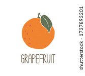 cute colored caption grapefruit ... | Shutterstock .eps vector #1737893201