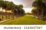 Small photo of Tee box area at golf course at sunset with beautiful sky. Scenic panoramic view of golf fairway. Golf field with pines