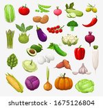 vector vegetables and salads.... | Shutterstock .eps vector #1675126804