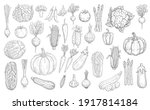 vegetables sketch icons  farm... | Shutterstock .eps vector #1917814184