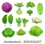 Cartoon Vector Cabbage And...