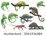 chameleon lizards with tree... | Shutterstock .eps vector #2041526384