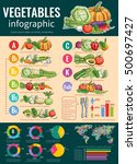 vegetables infographics design... | Shutterstock .eps vector #500697427