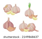 set of fresh garlic in cartoon... | Shutterstock .eps vector #2149868637