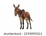 Donkey with a saddle on the...