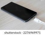 USB type C cable charger and port of the phone