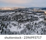 Top down view of the forest in winter and city murmansk. Winter landscape in the forest. Flying over winter fir forest. Top down view of high snowy trees. Trees in the snow. Frosty forest. Nature