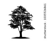 tree silhouettes on white... | Shutterstock .eps vector #1035526861