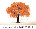 Autumn Tree Vector.realistic ...