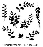 silhouette of leaf  | Shutterstock .eps vector #474153031