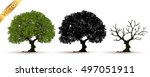 tree with a realistic | Shutterstock .eps vector #497051911