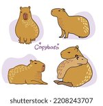 Set Of Cute Capybara. Vector...